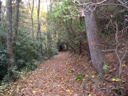 Fort Mountain Hike 2006