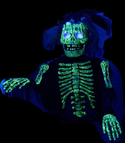 25-This is the skeleton under black light.